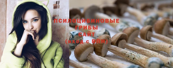 spice Богданович