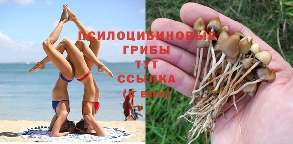 прущие крисы Богородск