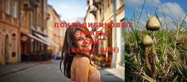метамфетамин Богородицк