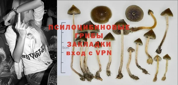 метамфетамин Богородицк